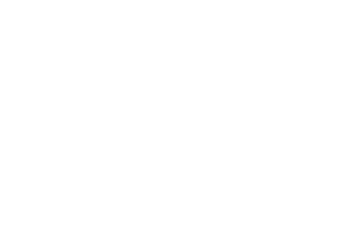Good Guys