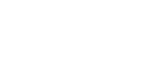 Narvan Kyläpanimo