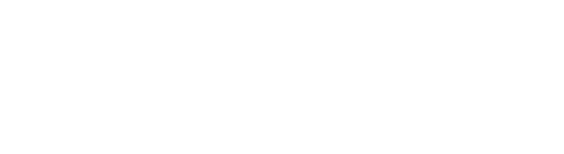Stadin Panimo