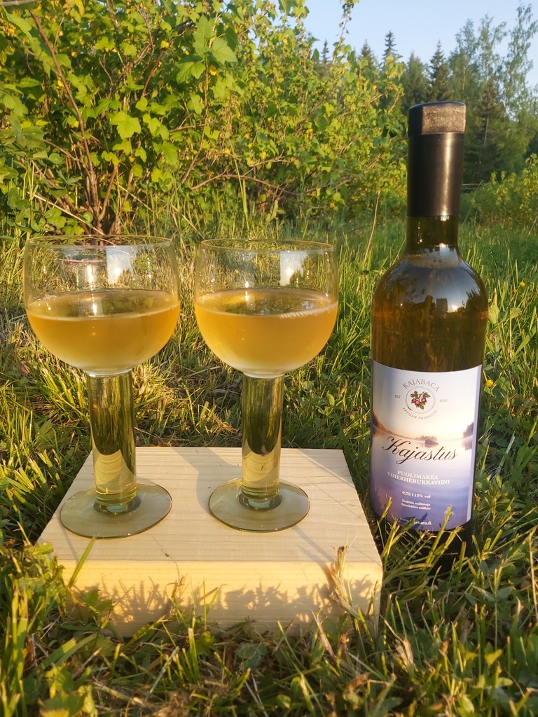 Kajastus Green Currant Wine – Kajabacan viinitila