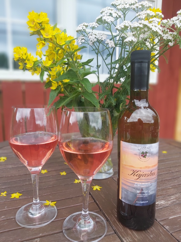 Kajastus Red Gooseberry Wine – Kajabacan viinitila
